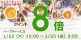 【変更】ハーブティーの日（ポイント8倍）は2026年1月より開催日が変わります