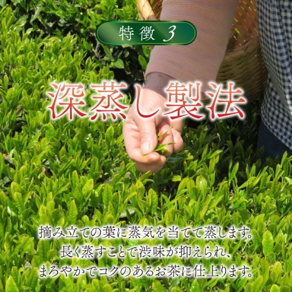 画像6: 国産カフェインレス緑茶(ティーバッグ12個) (6)