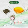 画像3: 国産カフェインレス緑茶（生分解性ティーバッグ2g×12個入） (3)