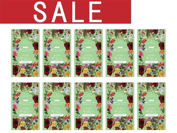 画像1: 【sale 50%off】有機グリーンルイボスすっきりブレンド（生分解性ティーバッグ2g×7個入）×10袋セット (1)