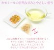 画像3: 【定期購入１０％OFF】まるまるりんごのオーガニックフルーツハーブティー（生分解性ティーバッグ2g×20個入） (3)