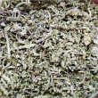 画像1: 国産有機セージ（オーガニックセージ）　15g (1)
