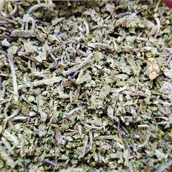 画像1: 国産有機セージ（オーガニックセージ）　15g (1)