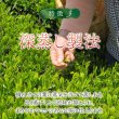 画像4: 【新発売】有機国産カフェインレス深蒸し緑茶（生分解性ティーバッグ1.8g×5個入） (4)