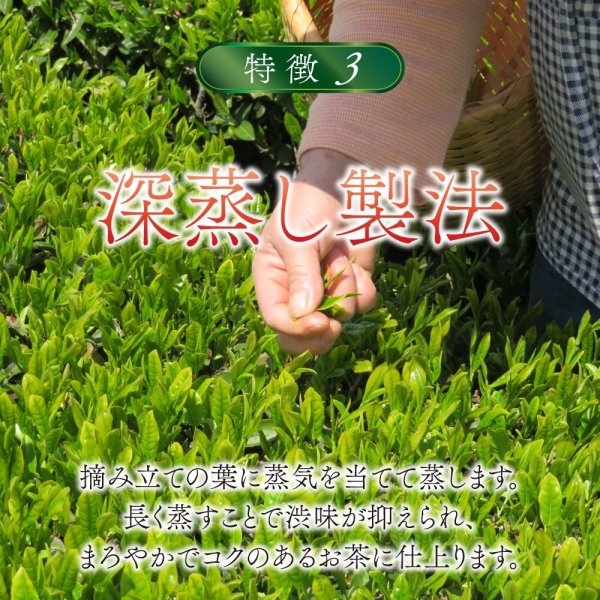 画像4: 【新発売】有機国産カフェインレス深蒸し緑茶(ティーバッグ5個) (4)