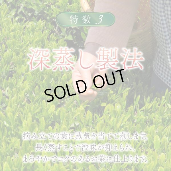 画像4: 【新発売】有機国産カフェインレス深蒸し緑茶(ティーバッグ5個) (4)