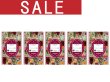 画像1: 【sale 50%off】カフェインレス紅茶（生分解性ティーバッグ2g×12個入）×5袋 (1)