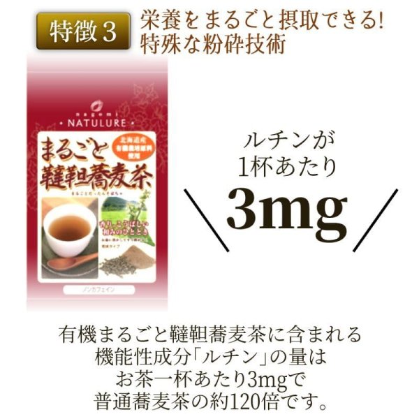 画像7: 【お得用】有機まるごとだったん蕎麦茶(粉末500g) (7)