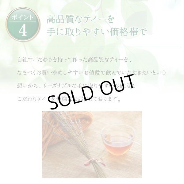 画像9: 【sale30%off】【お得用】スパイス香る有機ルイボスチャイ(ティーバッグ100個) (9)