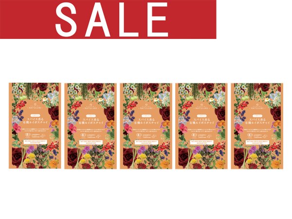 画像1: 【sale30%off】スパイス香る有機ルイボスチャイ(ティーバッグ7個)×5 (1)