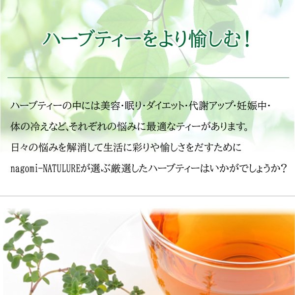 画像11: 有機ダージリンTGFOP1(ティーバッグ50個) (11)