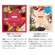 画像2: 【お試し】ハーブティー＆カフェインレス紅茶 10種 飲み比べセット(1個入り×10種) ローズヒップ、黒豆小豆ルイボス、カモミール、シナモンりんご、レモンバーベナ、ルイボスチャイ、ルイボス、アールグレイ、オレンジ&レモン、ラベンダー&ローズ (2)