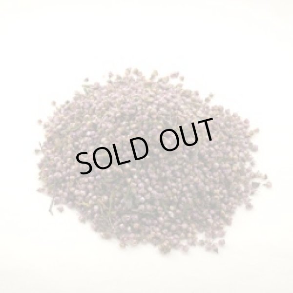 画像1: ヒース(エリカ)30g (1)