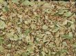 画像1: 有機(オーガニック)リンデン【グランクリュ(特級)】200g (1)