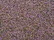画像1: ＜お徳用＞ヒース(エリカ)　200g (1)