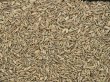 画像1: 【お得用】有機(オーガニック)フェンネル200g (1)