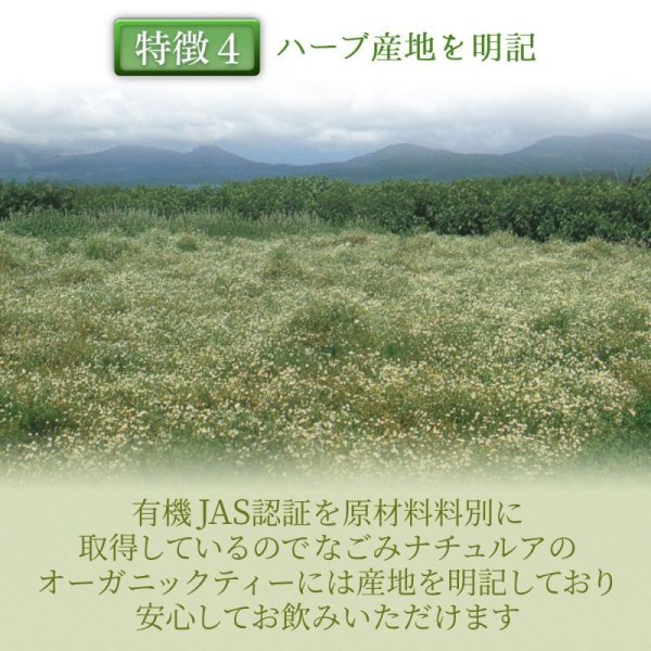 画像8: 【sale30%off】有機爽快ミントブレンド(ティーバッグ30個) (8)