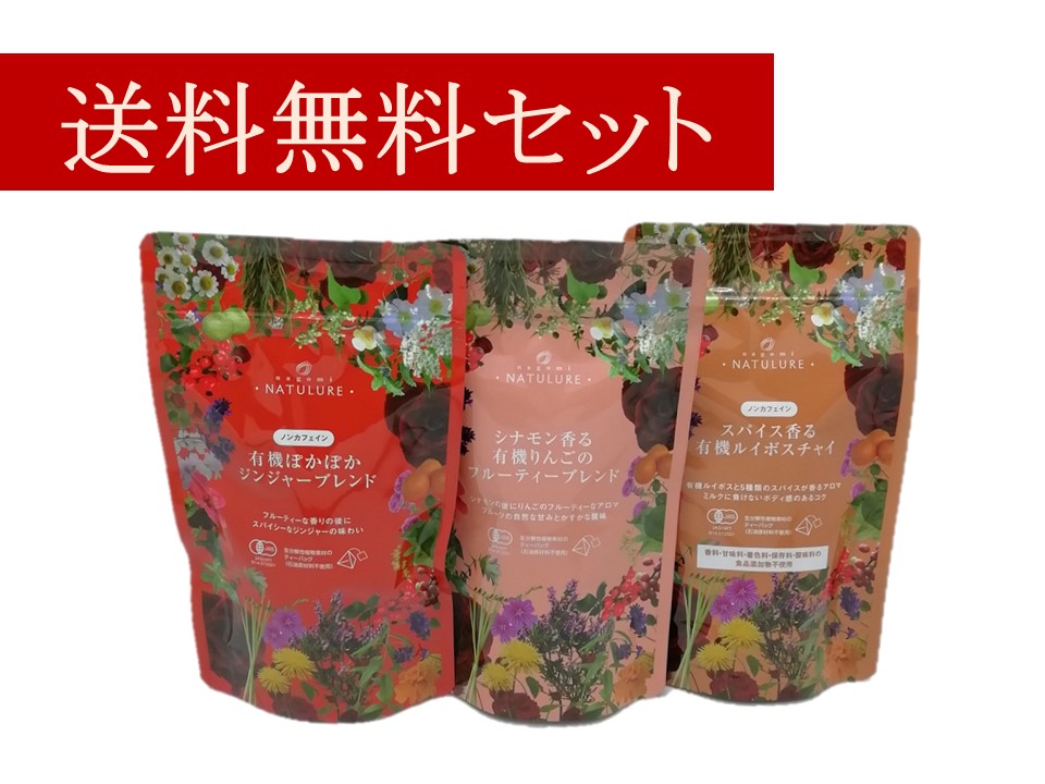 身体の芯から温かく温活オーガニックハーブティーセット【送料無料・ポストにお届け・日付指定・代金引換不可】（ジンジャーブレンド、フルーティーブレンド、ルイボスチャイ）